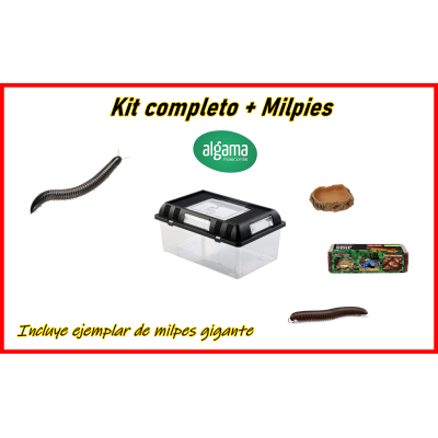 Kit completo + milpies